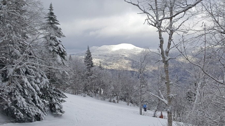 snowy spruce peak