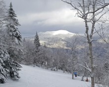 snowy spruce peak