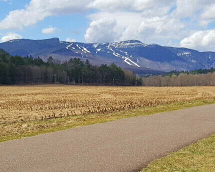 spring time view from the Stowe Rec Path