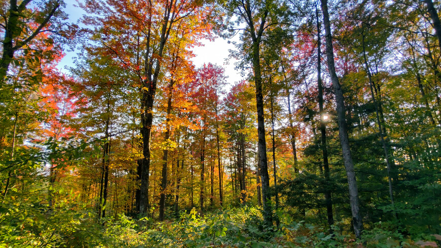 Beautiful fall scenery in Stowe Vermont