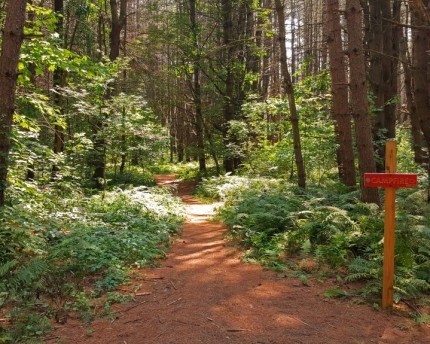 campfire trail stowe