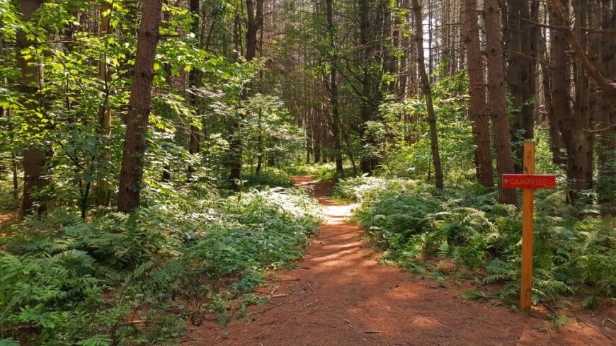 mountain biking trails stowe vermont