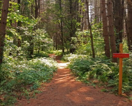 mountain biking trails stowe vermont