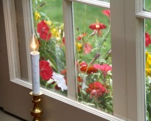 candle in window with flowers outside