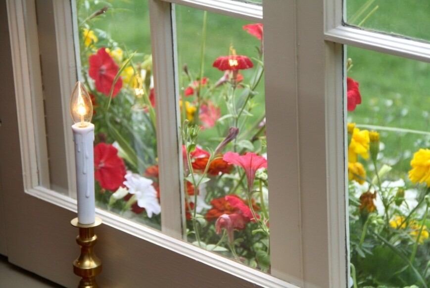 candle in window with flowers outside