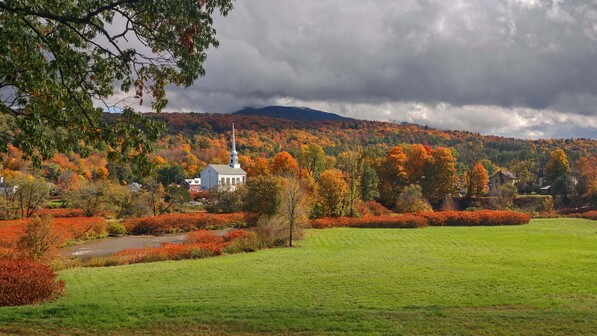 Vermont foliage