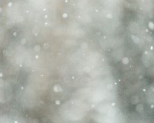 snowfall close up