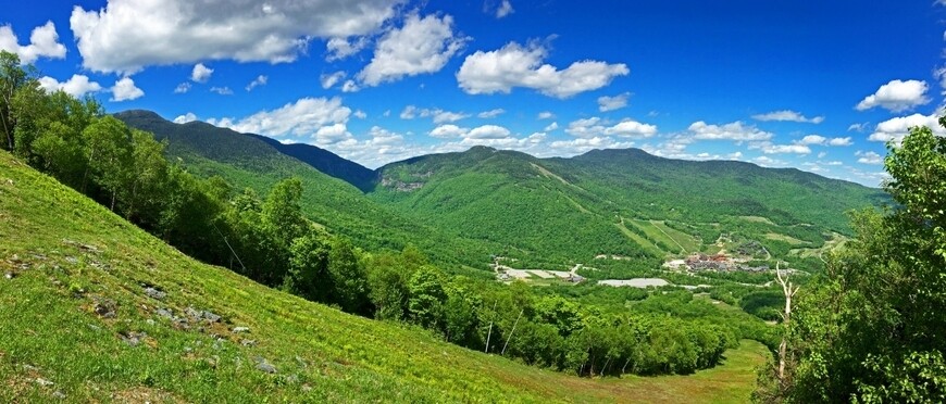 green scenery in mount mansfield