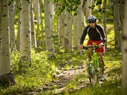 biking trails stowe vermont and biker