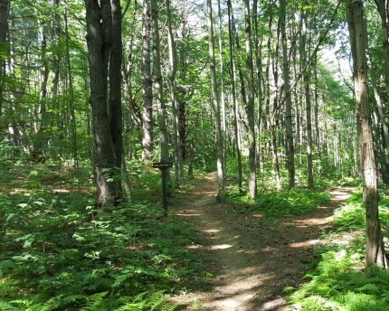 biking trails stowe vermont