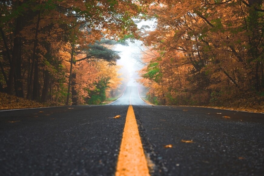 fall foliage on road in stowe vermont