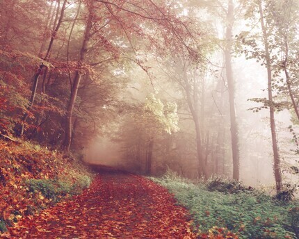 fall hiking trail in stowe vermont