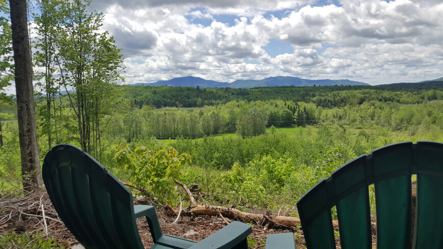 green scenery views of vermont