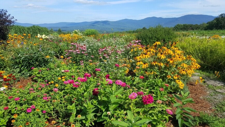 von trapp gardens