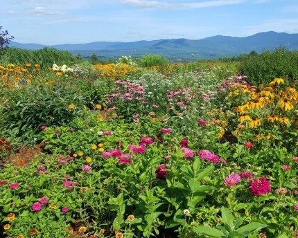 von trapp gardens