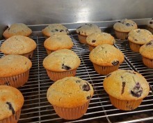 Warm Blueberry Muffins